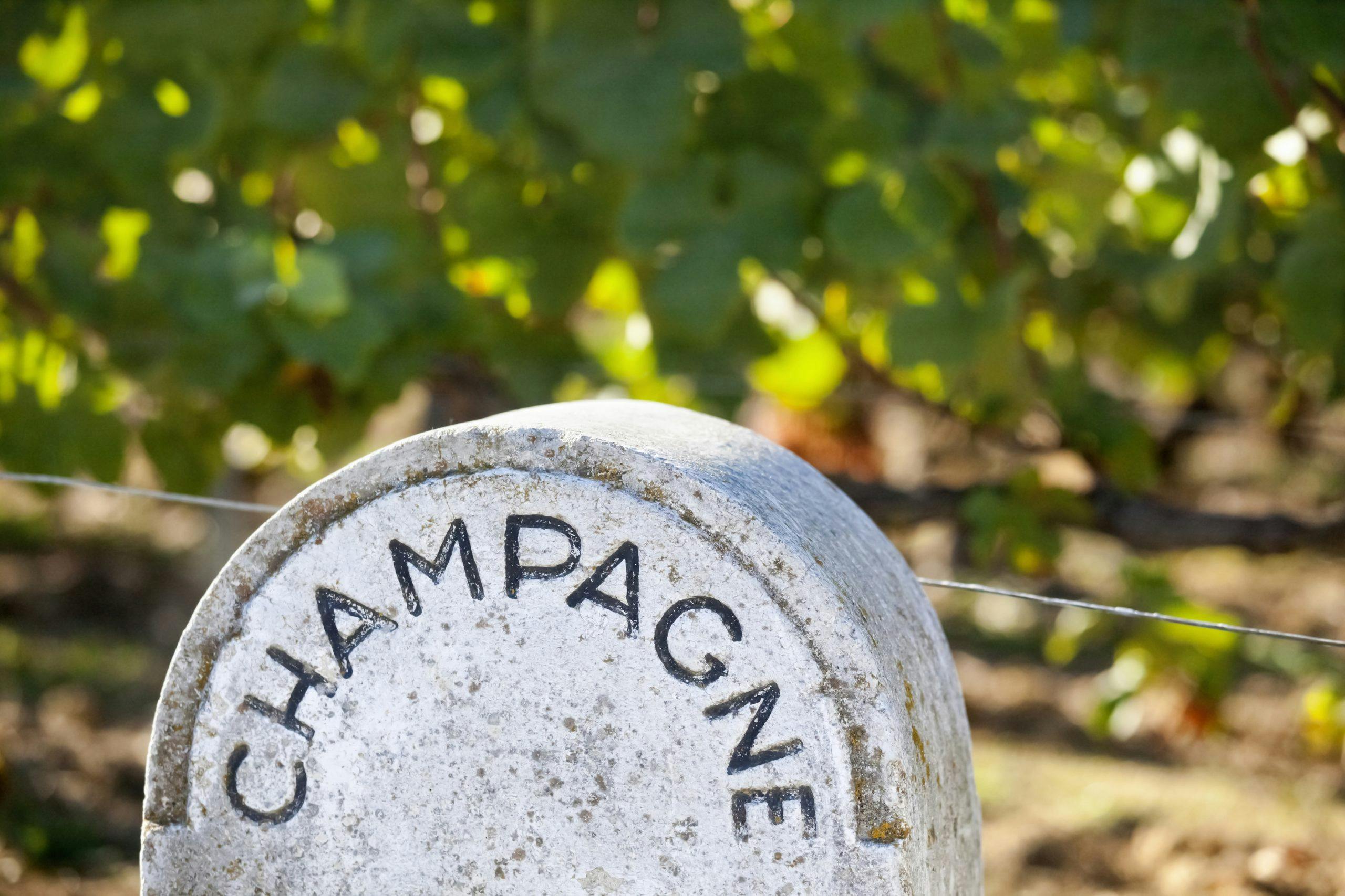Champagne bäst i test 2022 Champagnes guldålder