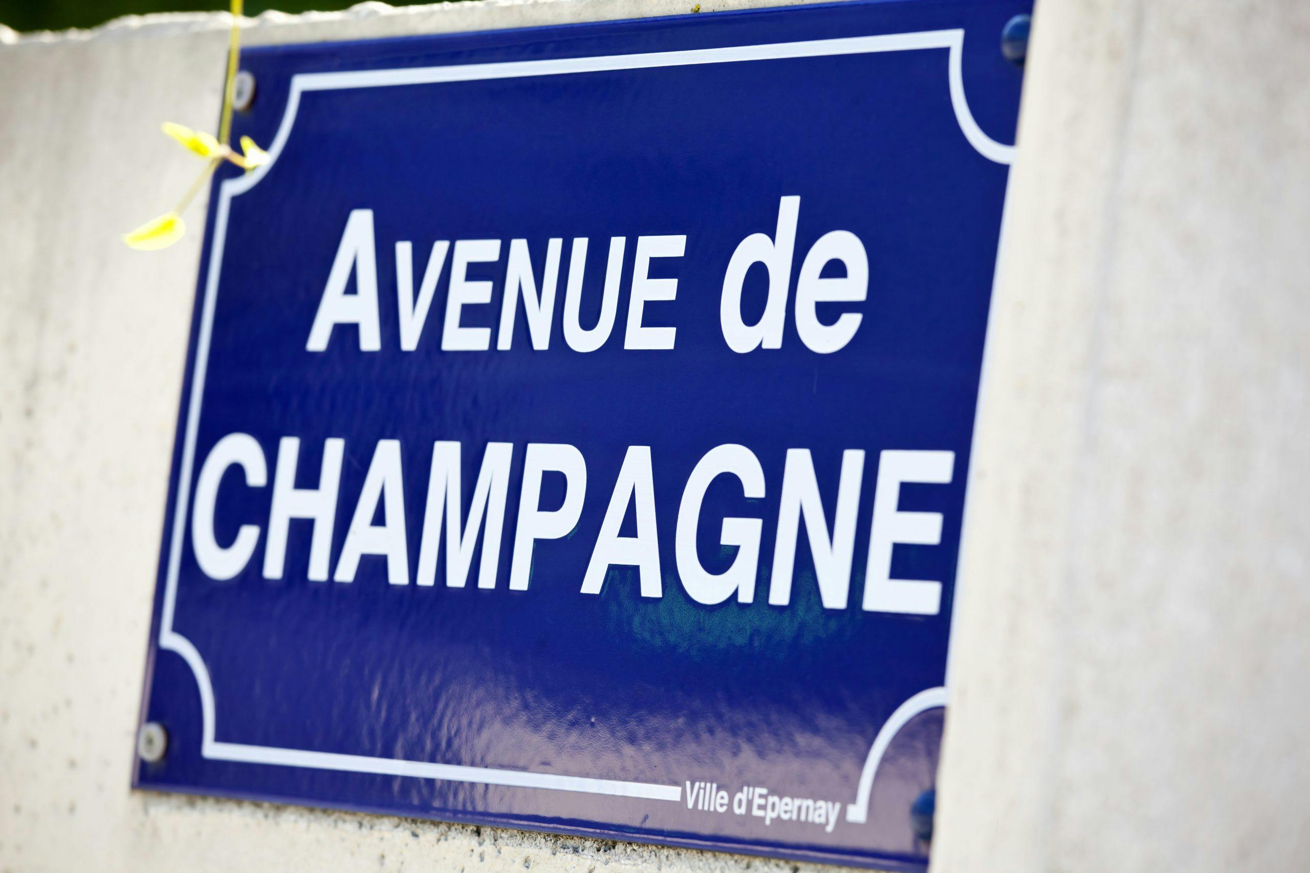 Avenue de Champagne Sveriges champagnemässa 2023